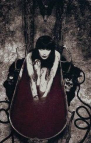 Shadowba.jpg (21078 bytes)